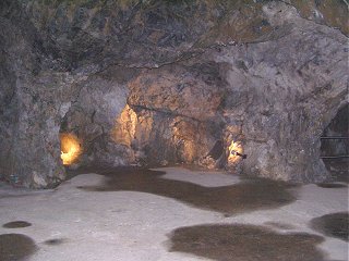 Jeskyn Vpustek - Medvd s