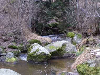 Svatoslavsk potok